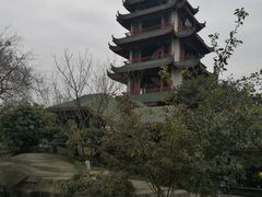 -灯盏窝饭店(新都分店)