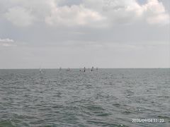 -日照世帆赛基地