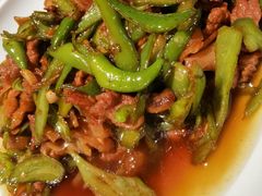 辣椒炒肉-聚鑫朋酸菜肥肠(文艺路口店)