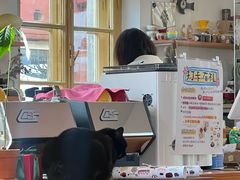 -春风十里咖啡馆