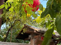 -龙华素斋(龙华路店)