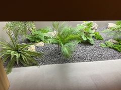 -隐溪茶馆(金虹桥店)