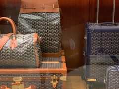 -Goyard 高雅德(国贸商城店)