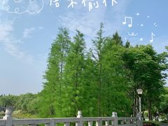 -尚贤河湿地