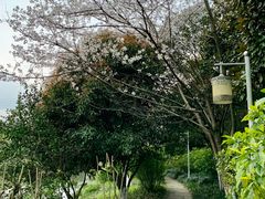 -八卦田遗址公园
