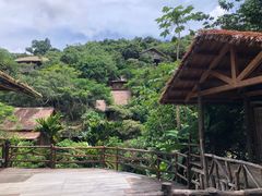 -海南槟榔谷黎苗文化旅游区