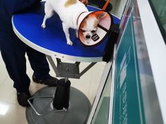 -佳雯宠物医院(金华南路分院)