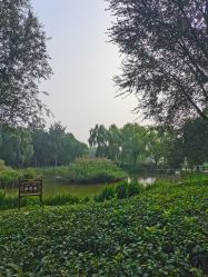 -将府公园儿童游乐场