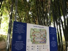 -马洛雷勒花园