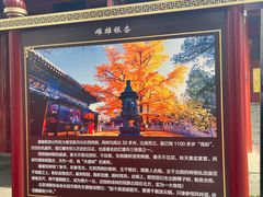 -红螺寺