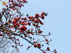 -广州市白云山风景名胜区