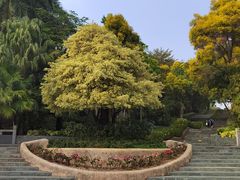 -深圳国际园林花卉博览园