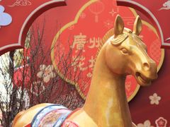 -越秀西湖花市(广州城市广场花卉店)