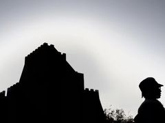 -金塔沙漠胡杨林景区
