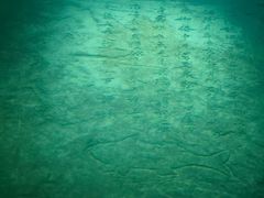 -白鹤梁水下博物馆