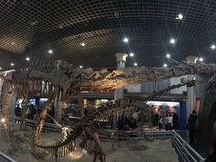 -国家自然博物馆