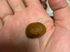 -金栗王(清扬路店)