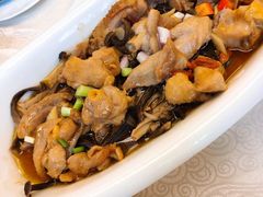 鹿茸菌蒸走地鸡-悦湖公馆