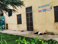 -西安秦岭野生动物园