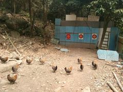 -杭州天目山静雅居农家乐