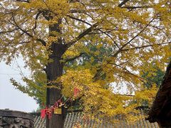 -金堂县云顶石城风景区