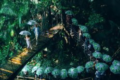 点击看大图 -金夫人婚纱摄影(包河万达店)