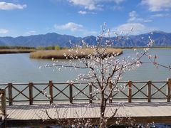 -野鸭湖国家湿地公园