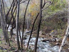 -玉渡山自然风景区