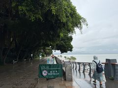 -深圳湾公园(南山区)