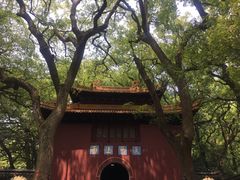 -普陀山风景名胜区-法雨禅寺