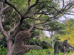 -墨尔本皇家植物园