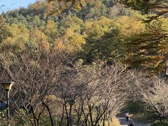 -四明山国家森林公园