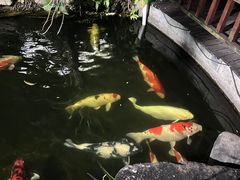 -台山颐和温泉城