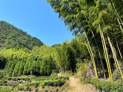 -仙霞关景区