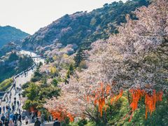 -泰山风景名胜区