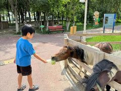 -水上乐园·欢乐世界