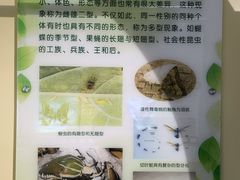 -上海昆虫博物馆