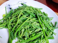 清炒丝瓜秧-力力豆花庄(广渠门店)