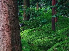 -成都市活水公园