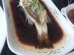 -云中小雅