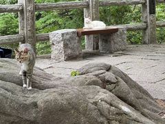 -崂山巨峰游览区
