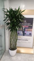 -悟空祛痘·诺奖技术专业店