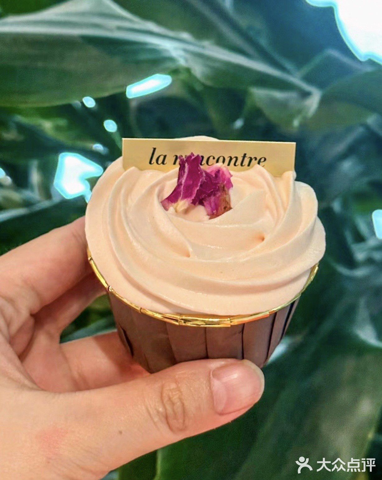 听劝‼来广州1️⃣定要试试这家cupcake