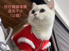 -仁仁嘉嘉宠物医院·骨外科中心·髋关节置换(北仑分院)