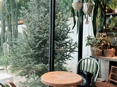 -自由生长植物工作室(深港花卉中心店)
