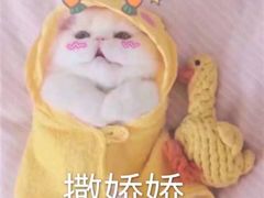 -印象江南(东栅店)