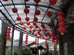 -观澜山水田园