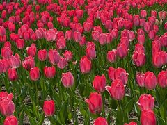 -长春公园(普阳街道)