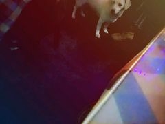 -小岛98(小岛酒吧)