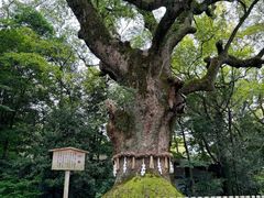 -热田神宫